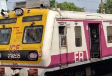 मुंबई लोकलमध्ये ट्रान्सजेंडरकडून महिलेला छेडछाड; नेरुळ स्टेशनवर अटक